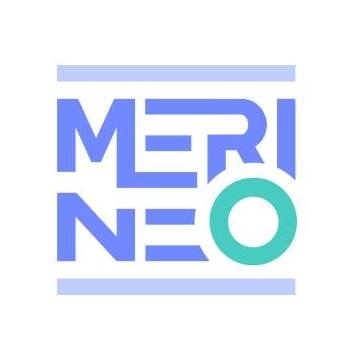 MERINEO website preview